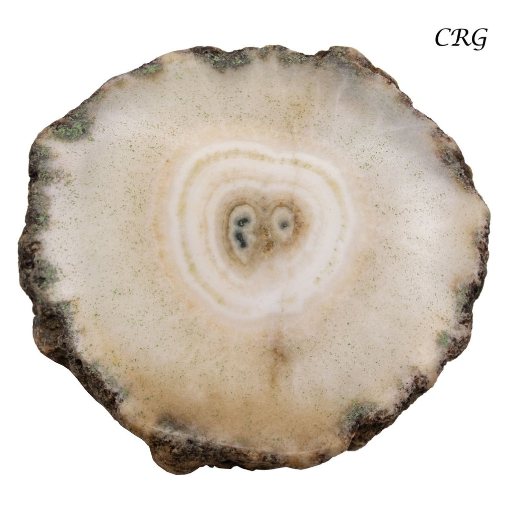 Agate Cabochons (75 Grams)