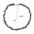Amethyst Strand Chip Choker Necklace (16 Inches) (4 Pieces) (INJD)