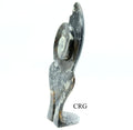 Ammonite Fossil Plate (1 Piece) Size 15 Inches Crystal Gemstone Carving