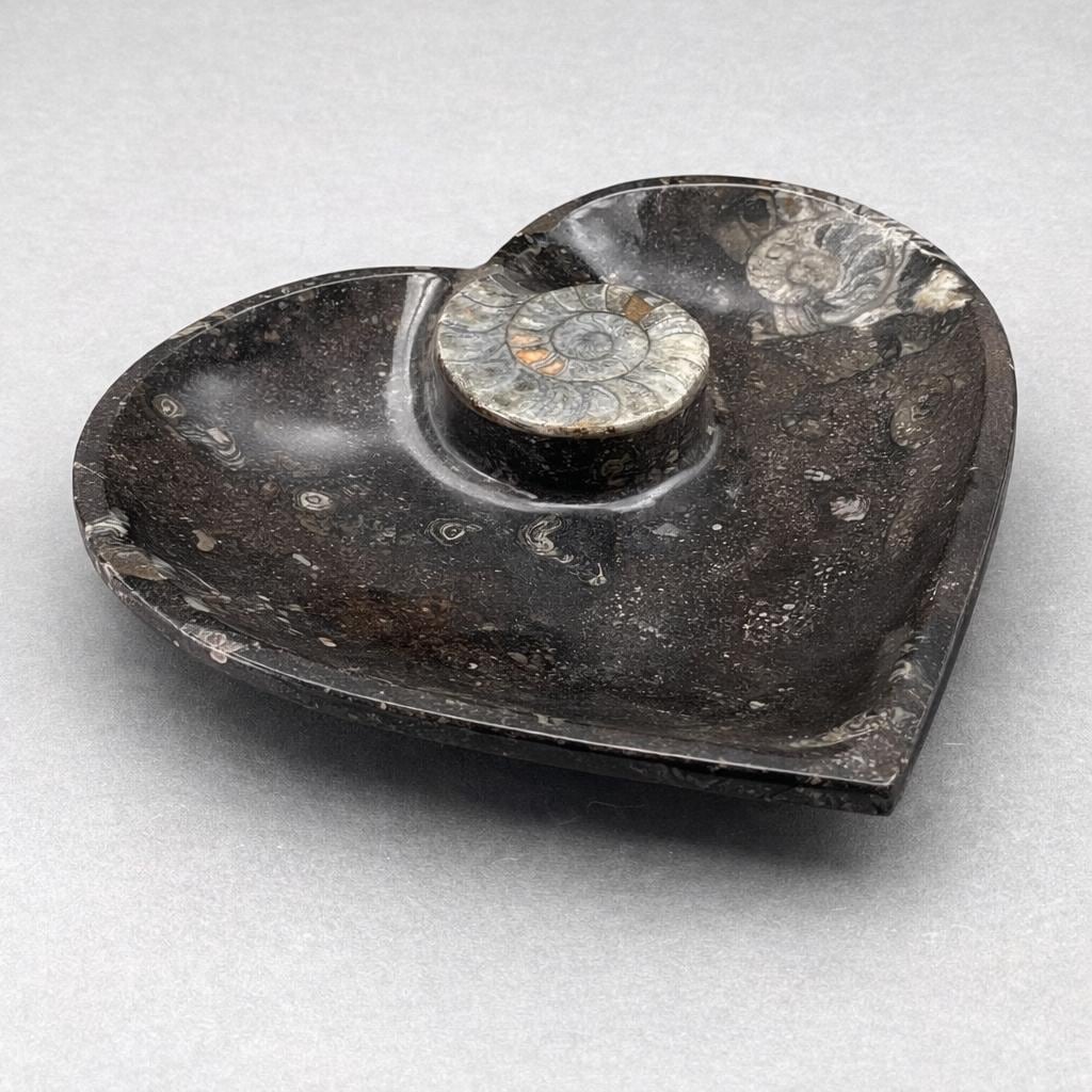 Ammonite Heart Plate 20CM (1 Piece)