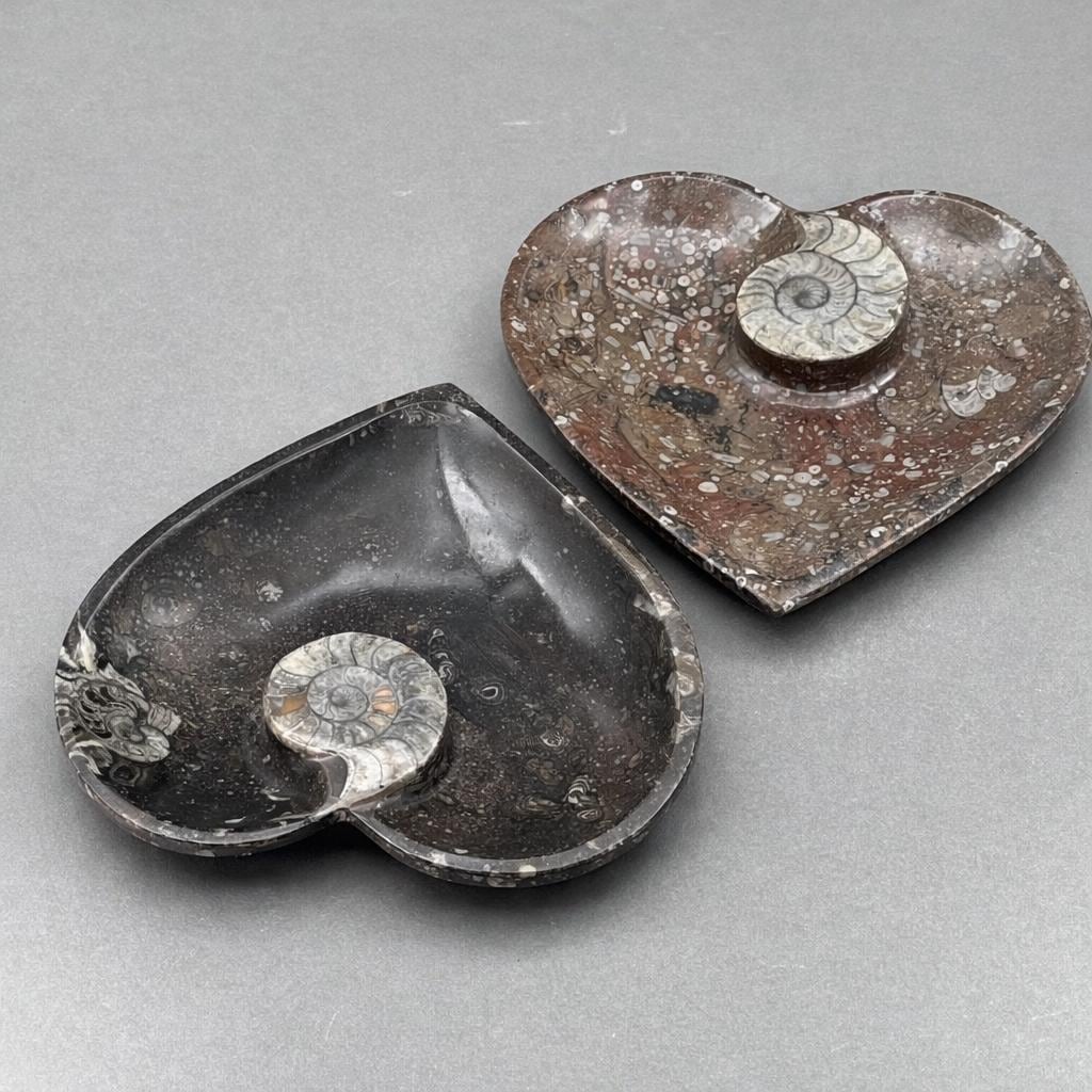 Ammonite Heart Plate 20CM (1 Piece)
