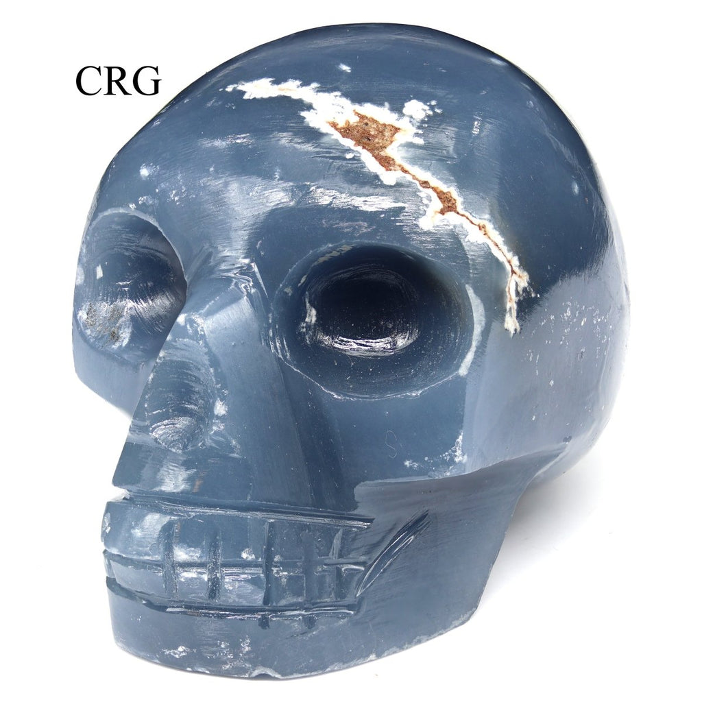 Angelite Skull (1 Piece) Size 50 to 75 mm Crystal Gemstone Carving