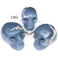 Angelite Skull (1 Piece) Size 50 to 75 mm Crystal Gemstone Carving