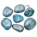 Apatite Palm Stones Size 40 to 60 mm