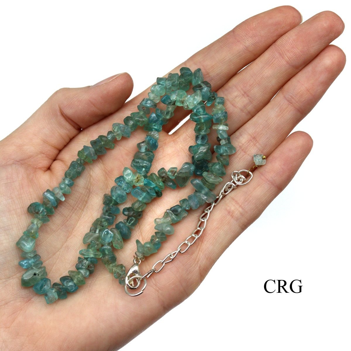 Apatite Strand Chip Choker Necklace (16 Inches) (4 Pieces) (INJD)