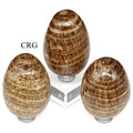 Aragonite Egg (1 Piece) Size 50 mm Crystal Gemstone Shape