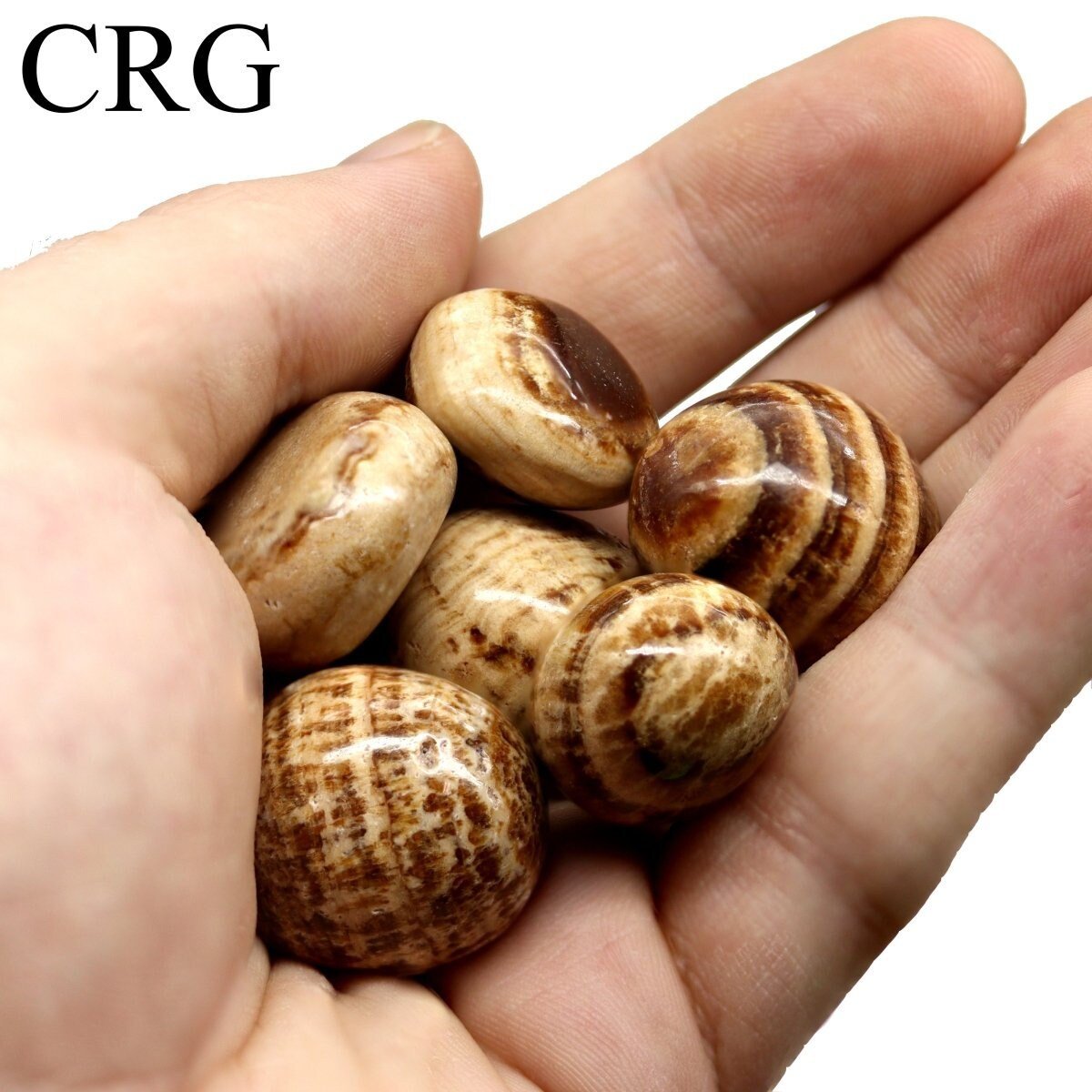 Aragonite Tumbled Pieces (Size 20 to 35 mm) Crystals Minerals Gemstones