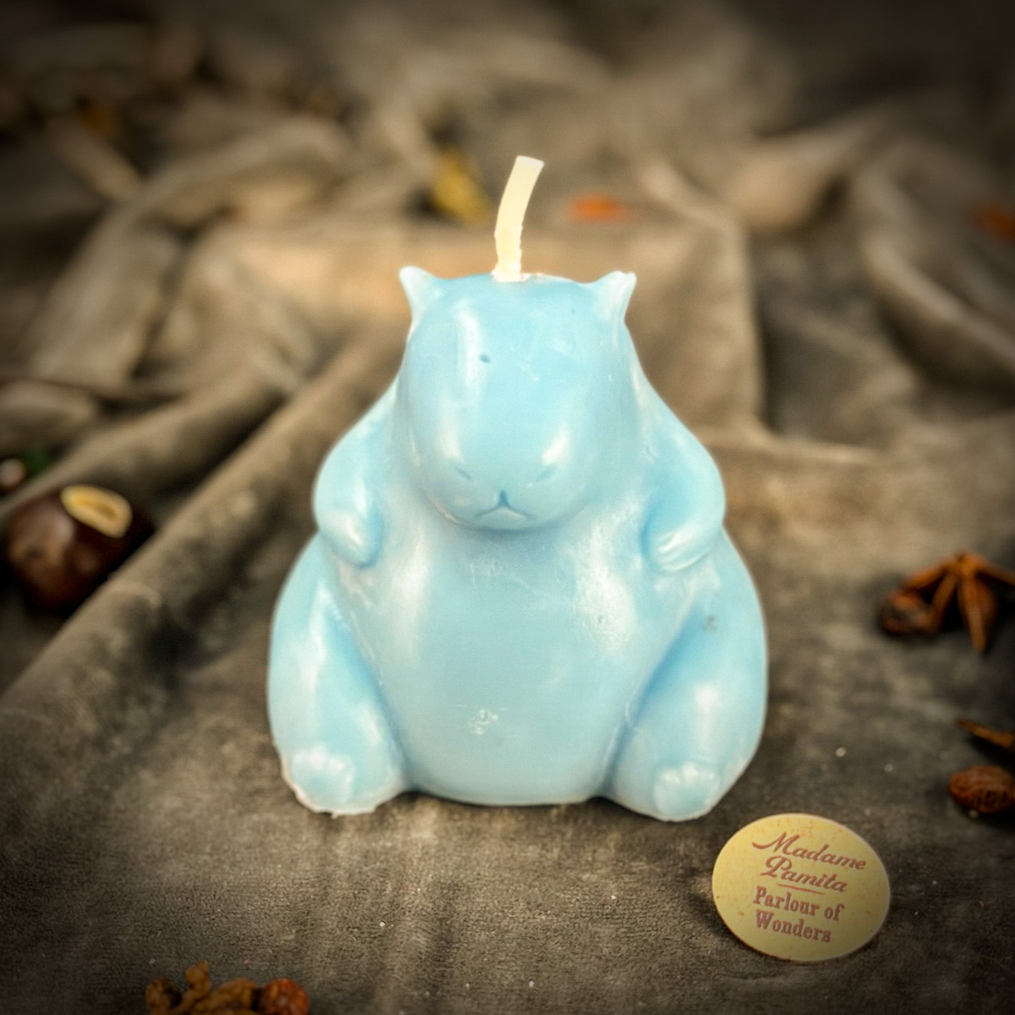 Cuddly Capybara Cooperation Candle Spell Kit - Harmony & Teamwork