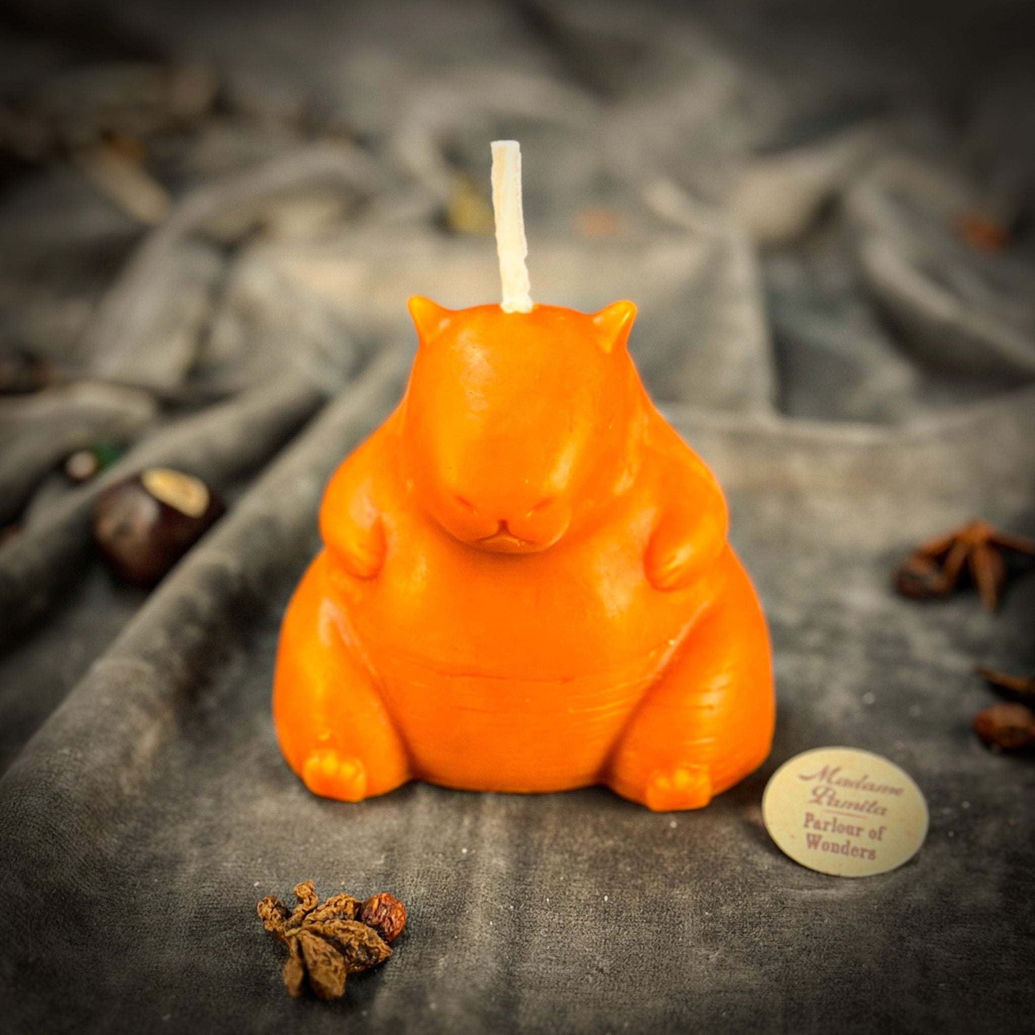 Cuddly Capybara Cooperation Candle Spell Kit - Harmony & Teamwork