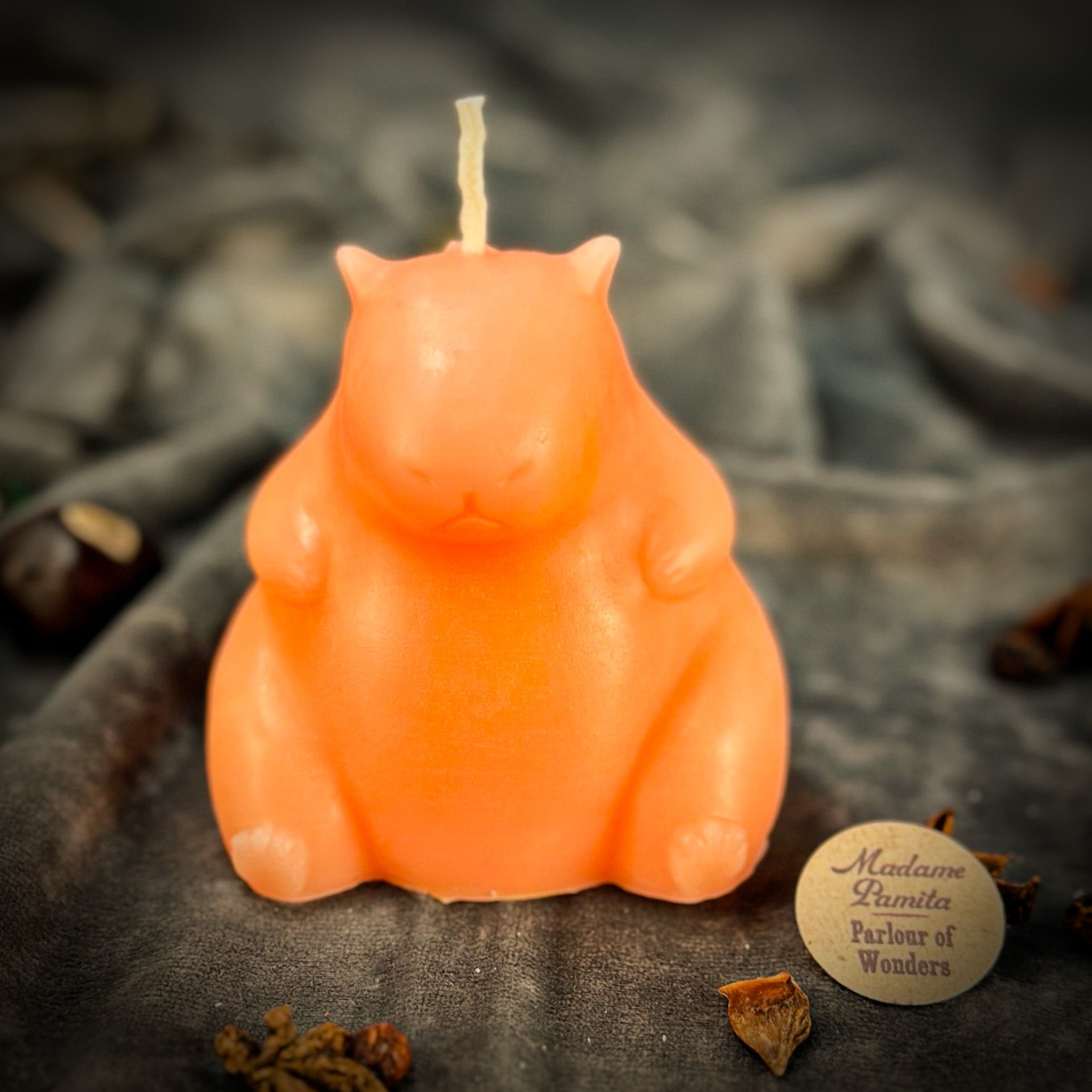 Cuddly Capybara Cooperation Candle Spell Kit - Harmony & Teamwork