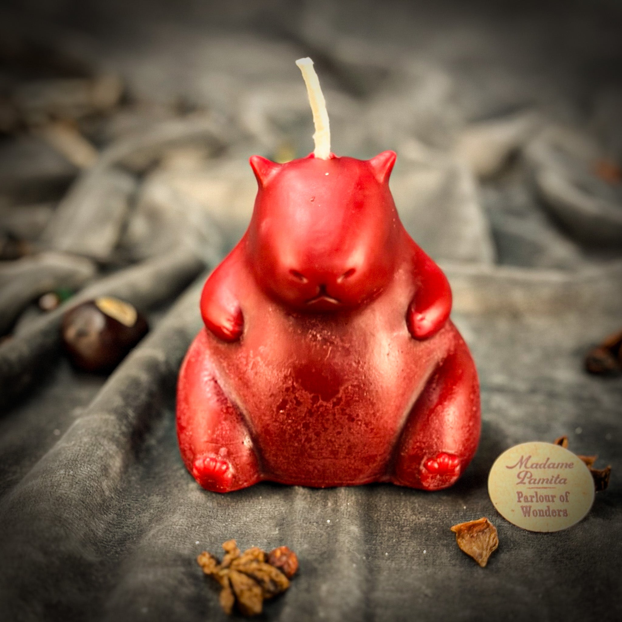 Cuddly Capybara Cooperation Candle Spell Kit - Harmony & Teamwork