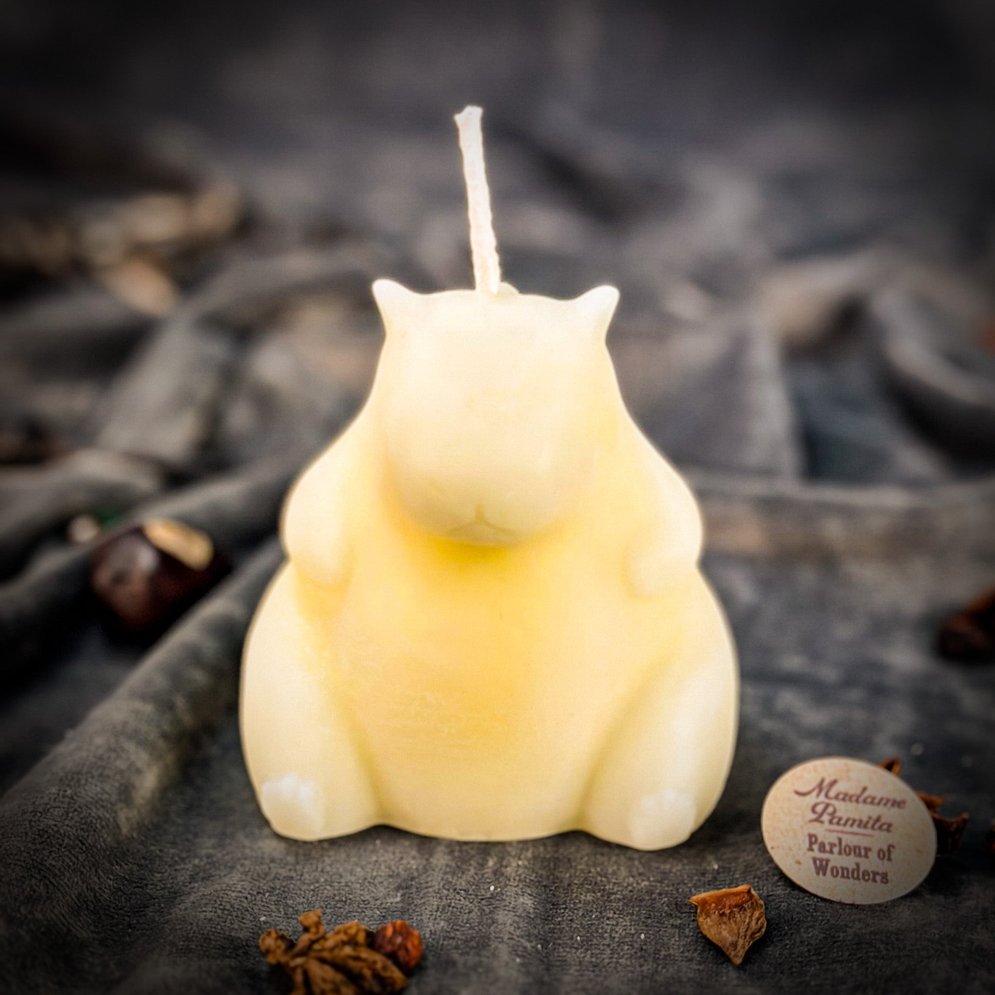 Cuddly Capybara Cooperation Candle Spell Kit - Harmony & Teamwork