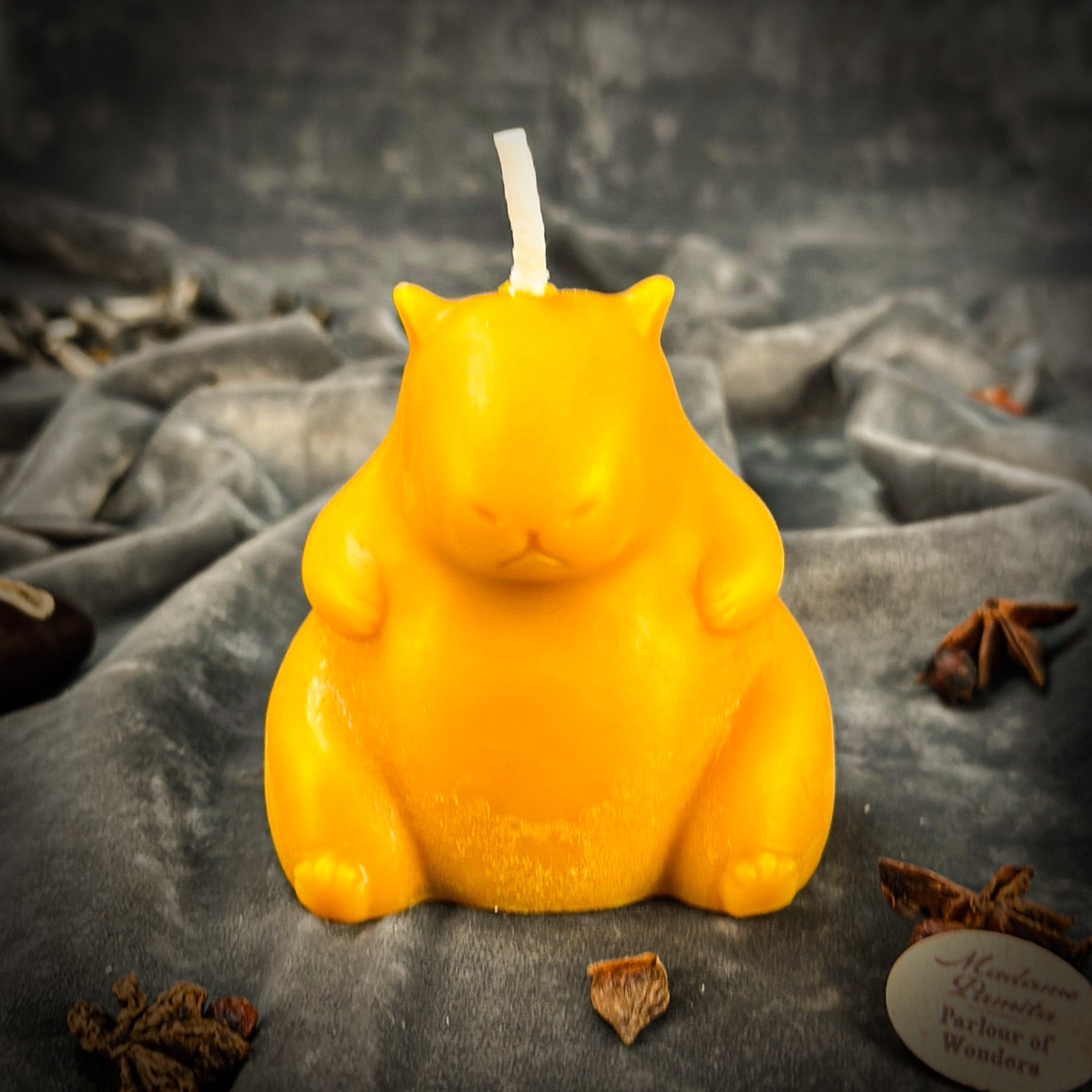 Cuddly Capybara Cooperation Candle Spell Kit - Harmony & Teamwork