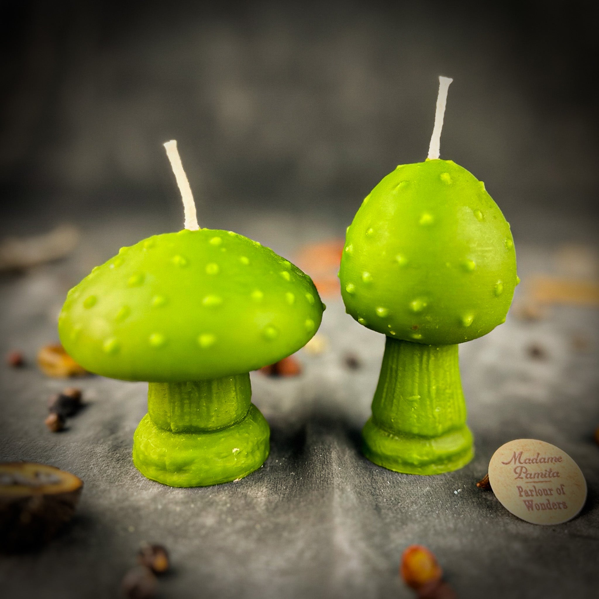 Mystical Mushroom Duo Candle Spell Kit - Forest Wisdom & Shadow Work Magic