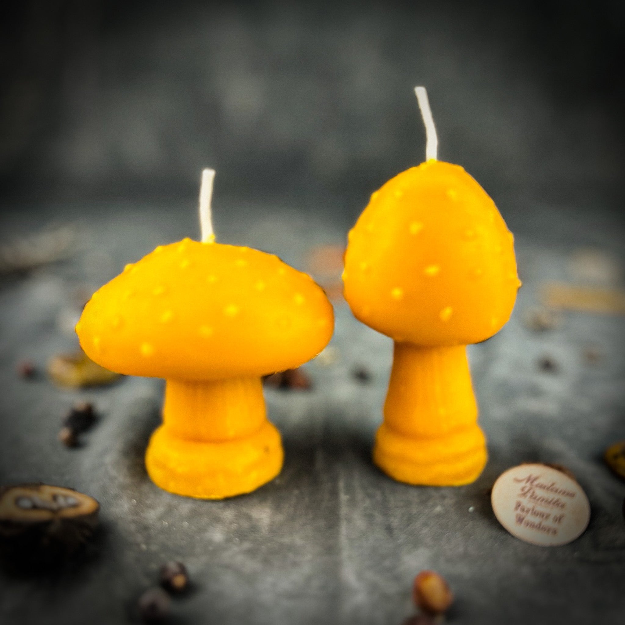 Mystical Mushroom Duo Candle Spell Kit - Forest Wisdom & Shadow Work Magic