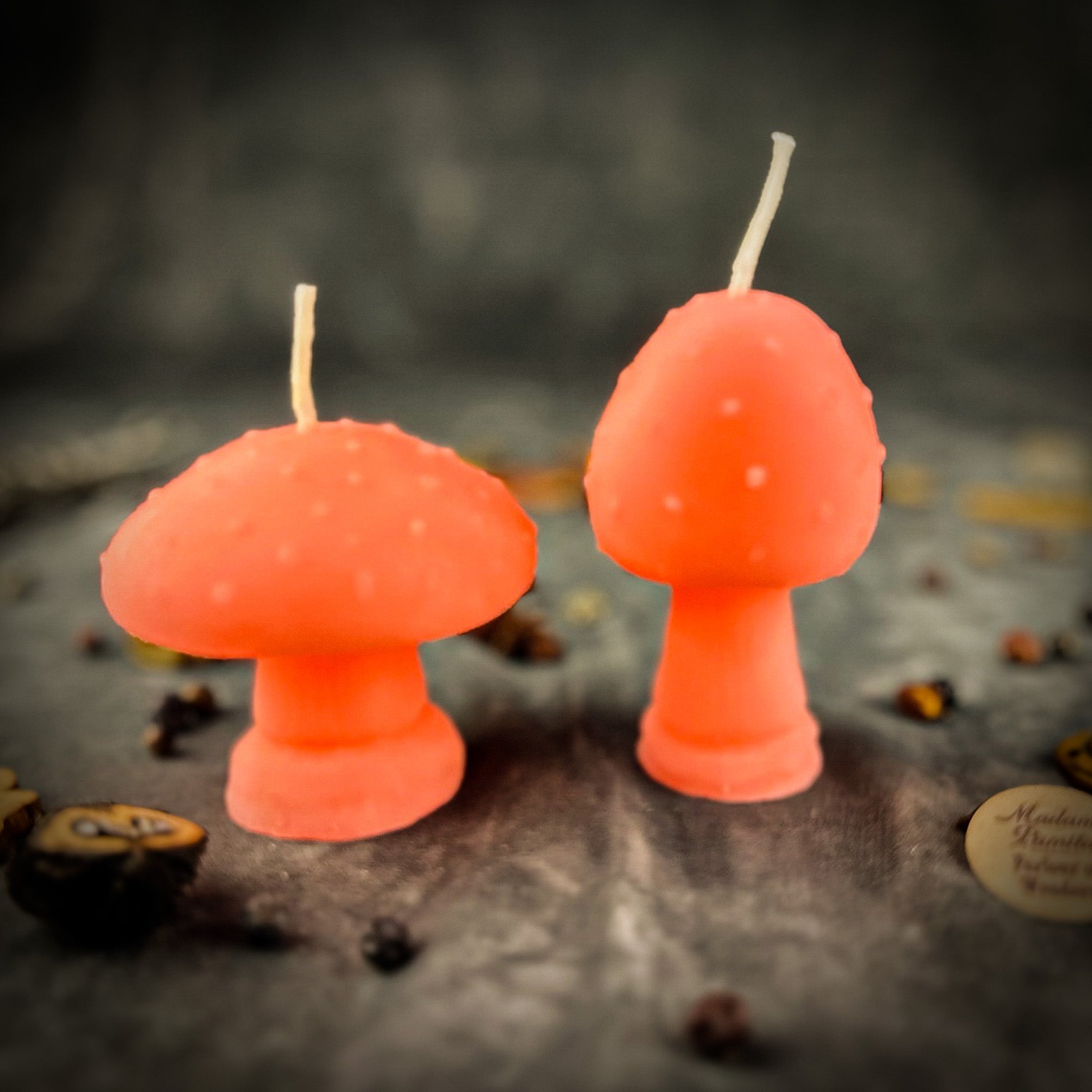 Mystical Mushroom Duo Candle Spell Kit - Forest Wisdom & Shadow Work Magic
