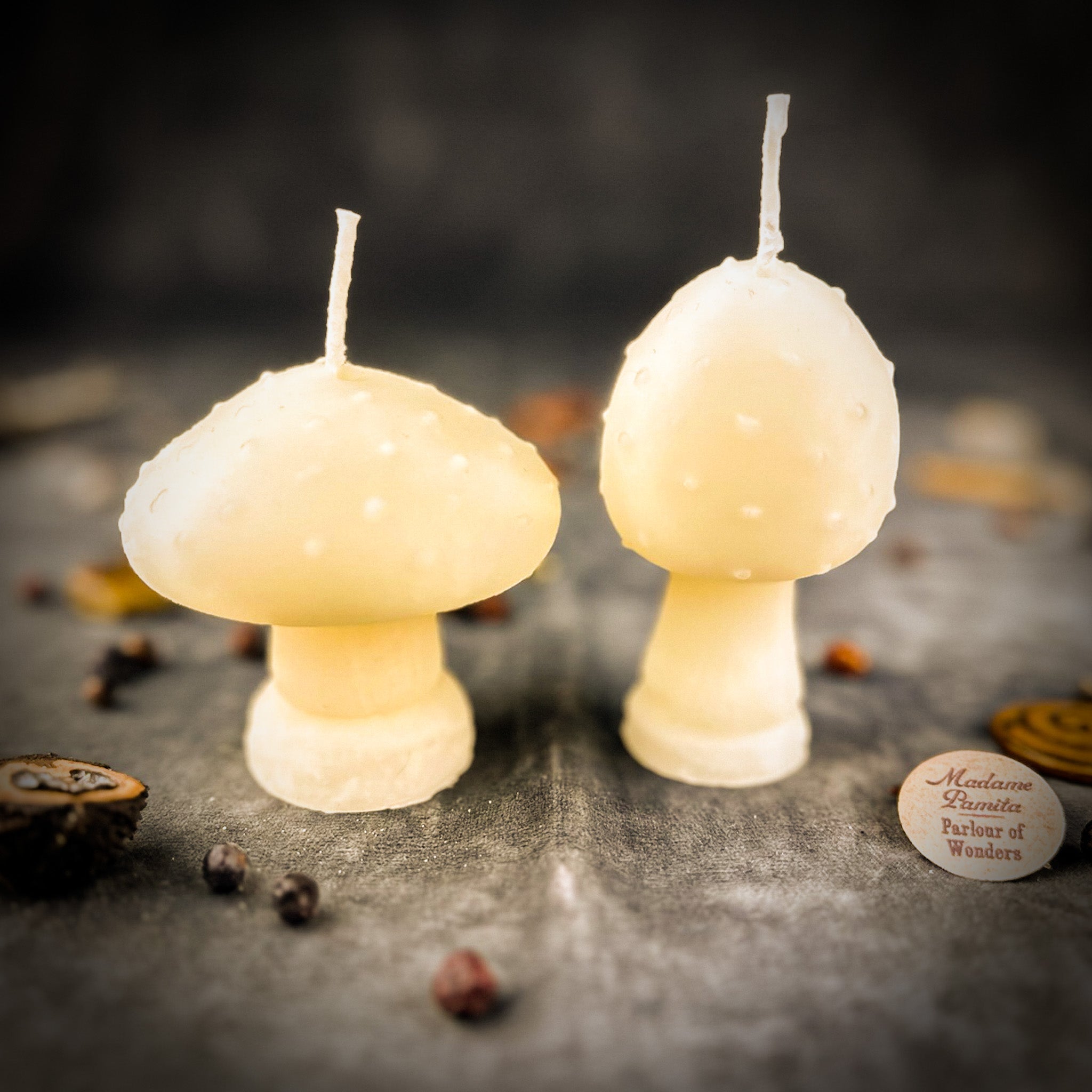Mystical Mushroom Duo Candle Spell Kit - Forest Wisdom & Shadow Work Magic