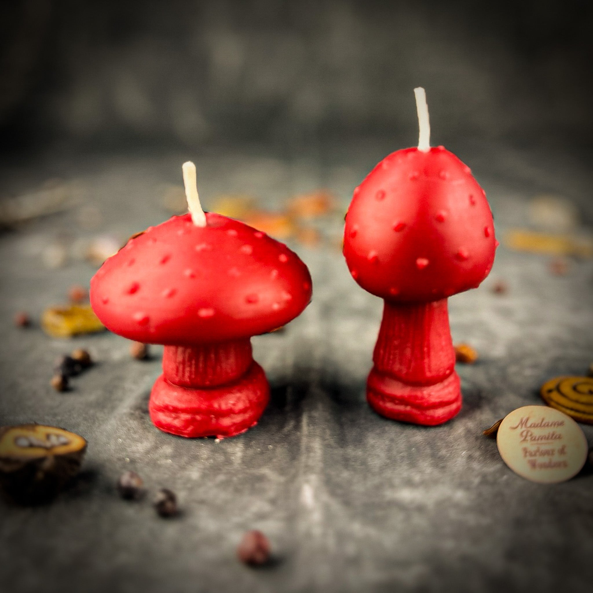 Mystical Mushroom Duo Candle Spell Kit - Forest Wisdom & Shadow Work Magic