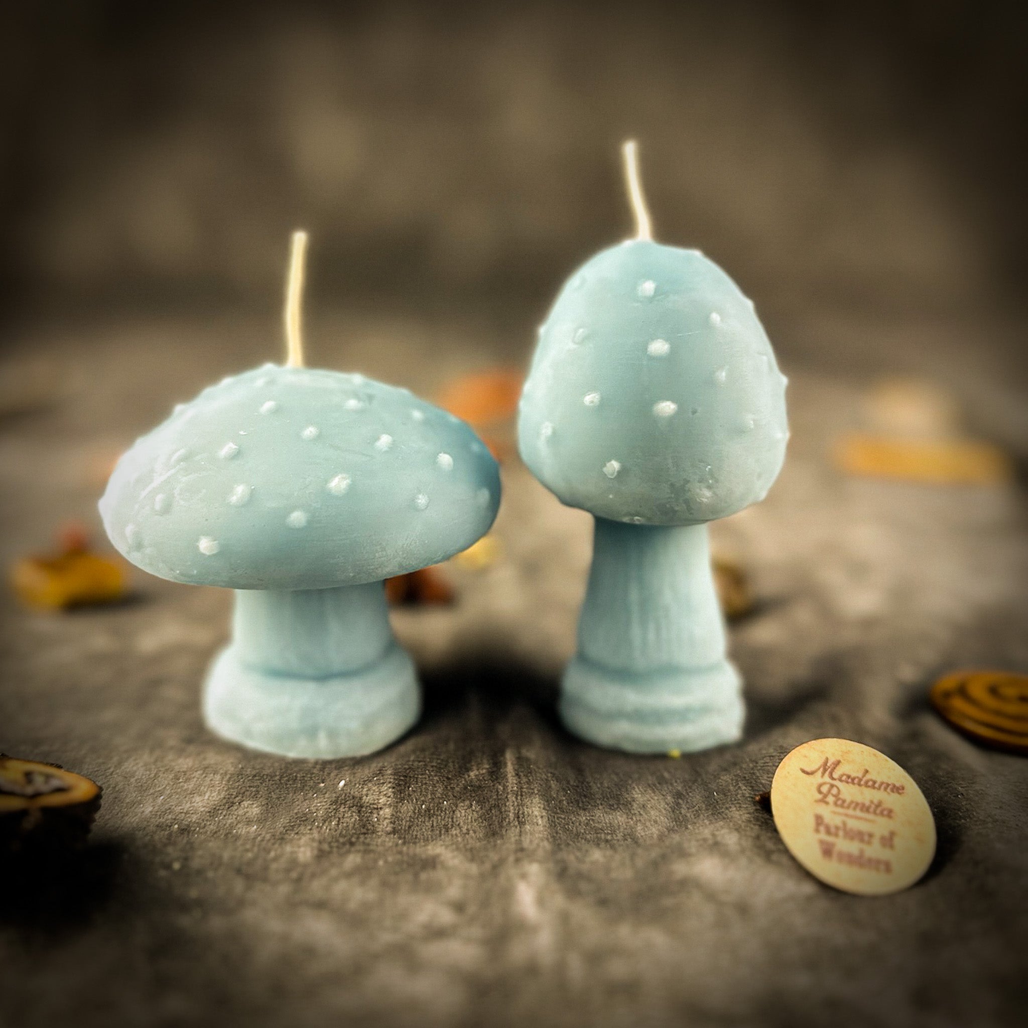Mystical Mushroom Duo Candle Spell Kit - Forest Wisdom & Shadow Work Magic