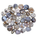 Black Flower Agate Tumble 1 LB.