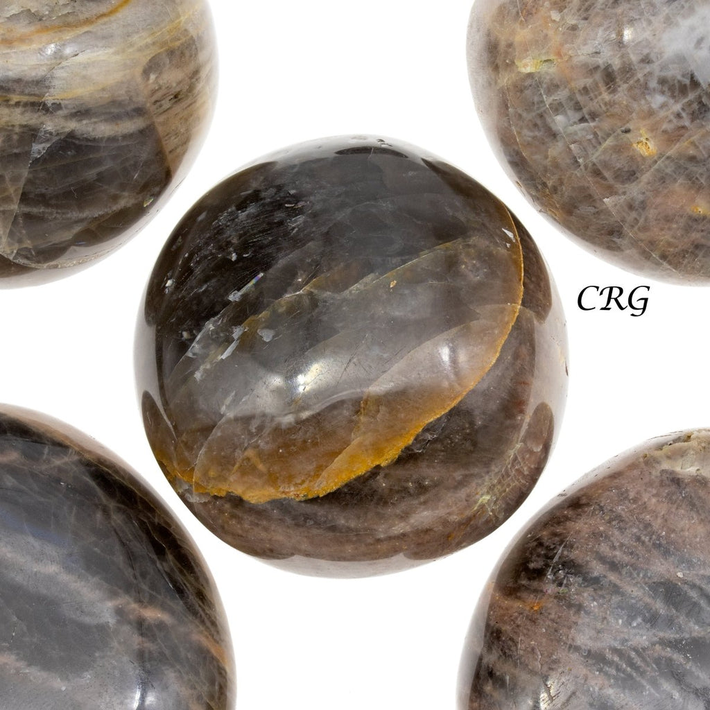 Black Moonstone Palm Stones / 1.5" AVG - 1 LB. LOT