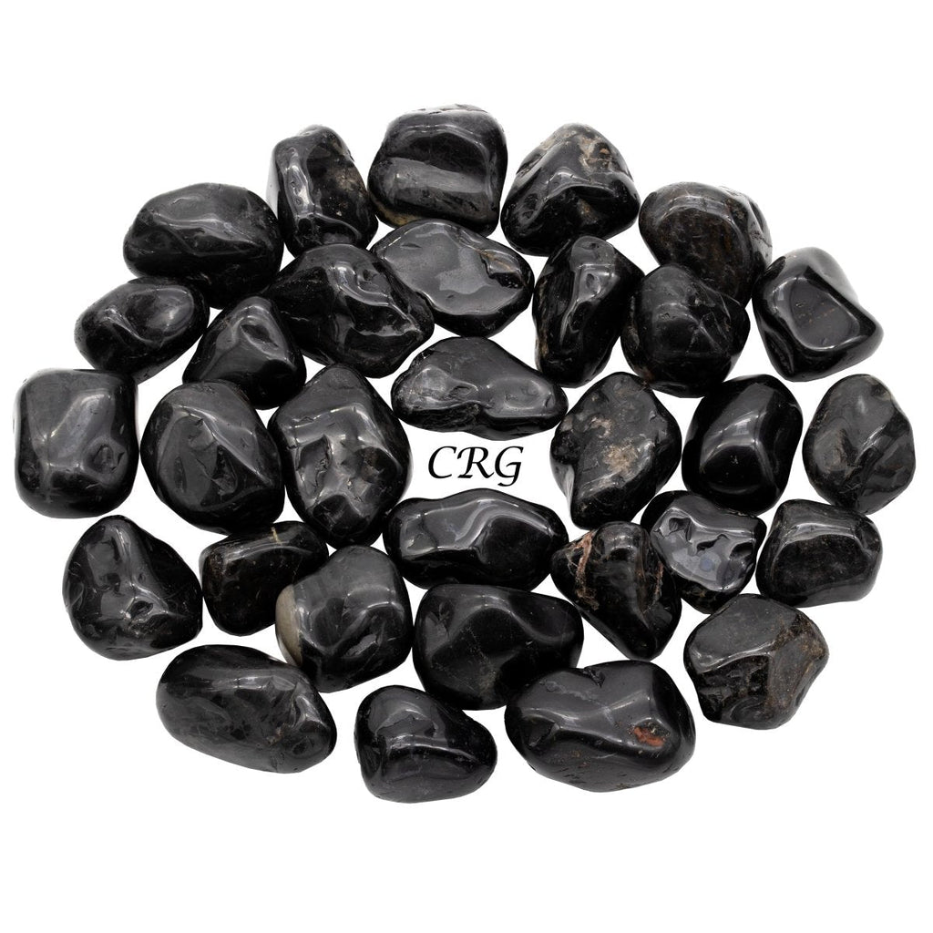 Black Tourmaline Tumbled (1 Pound) Size 1 to 2 Inches Bulk Wholesale Lot Crystal