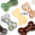 Bone Gemstone Figurines (1-2 in) (25-50 mm) Crystal Dog Bone Carvings (4 pcs)