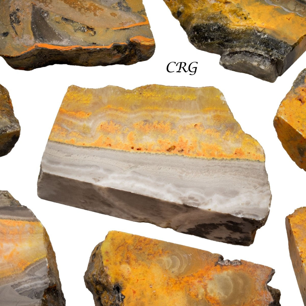 Bumblebee Jasper Polished Slabs (1 Kilogram) Size 2 to 4 Inches Bulk Wholesale Lot Crystals