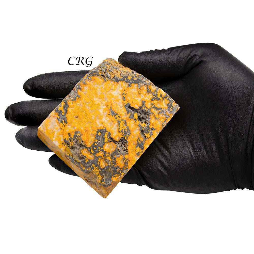 Bumblebee Jasper Polished Slabs (1 Kilogram) Size 2 to 4 Inches Bulk Wholesale Lot Crystals
