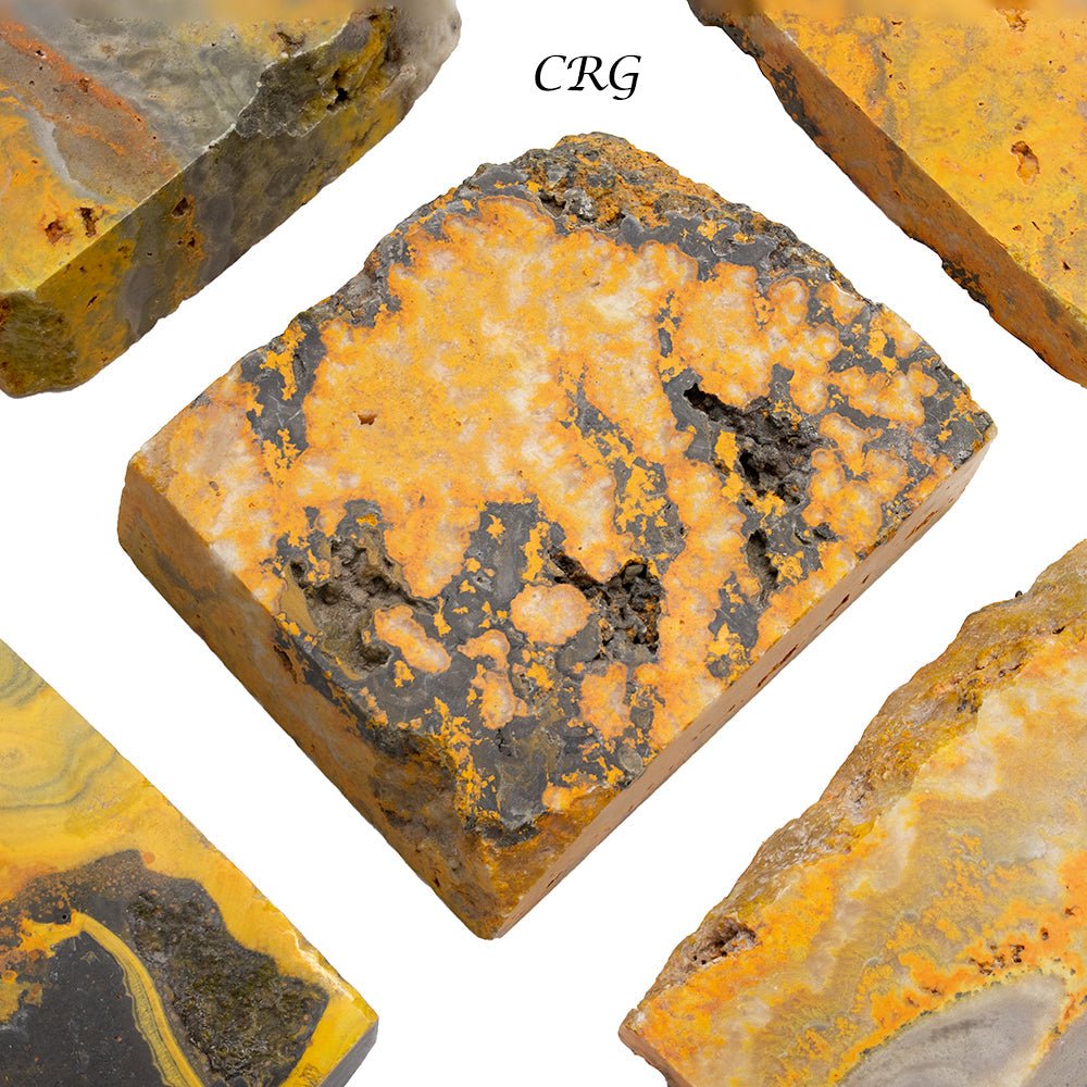 Bumblebee Jasper Polished Slabs (1 Kilogram) Size 2 to 4 Inches Bulk Wholesale Lot Crystals