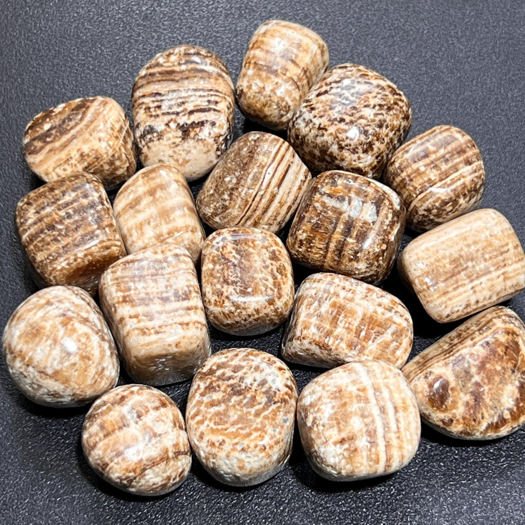 Brown Banded Aragonite Tumbled Stones (By The Piece Or Pound)