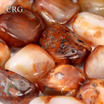 Carnelian Agate Gallet Palm Stone (1 Piece) Size 2 to 2.5 Inches