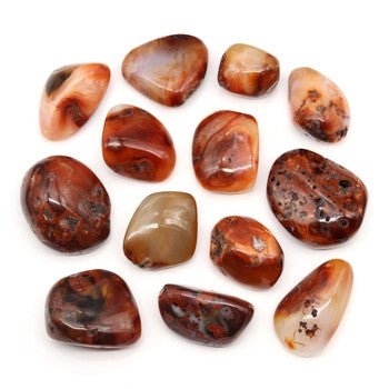 Carnelian Agate Gallet Palm Stone (1 Piece) Size 2 to 2.5 Inches