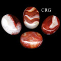 Carnelian Palm Stone (1 Piece) Size 2 Inches Smooth Worry Pocket Gemstone