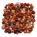 Carnelian Tumbled Pieces (Size 0.25 to 1.5 Inches) Crystals Minerals Gemstones