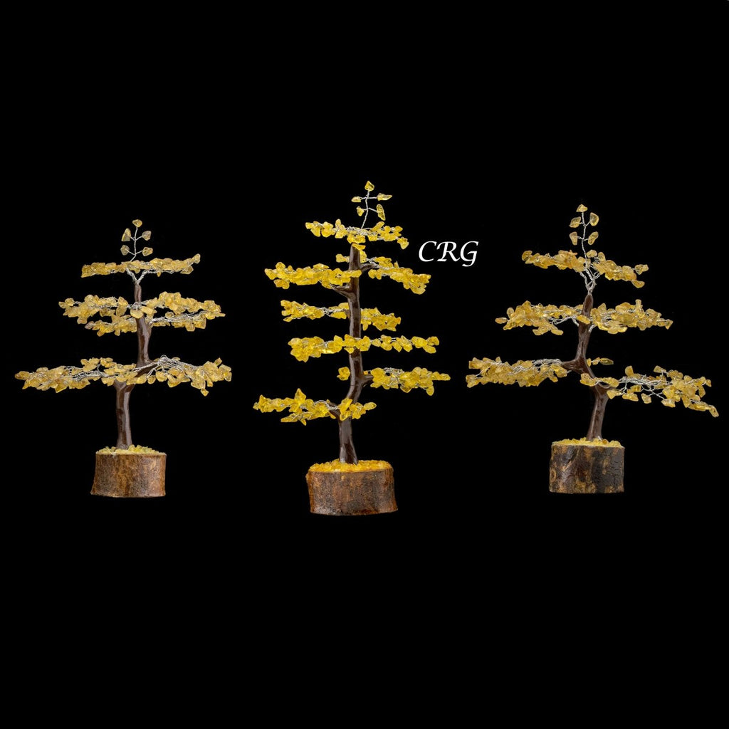 Citrine 300 Chip Tree with Wood Base and Silver Wire (1 Piece) Size 9 Inches Crystal Gemstone Tree