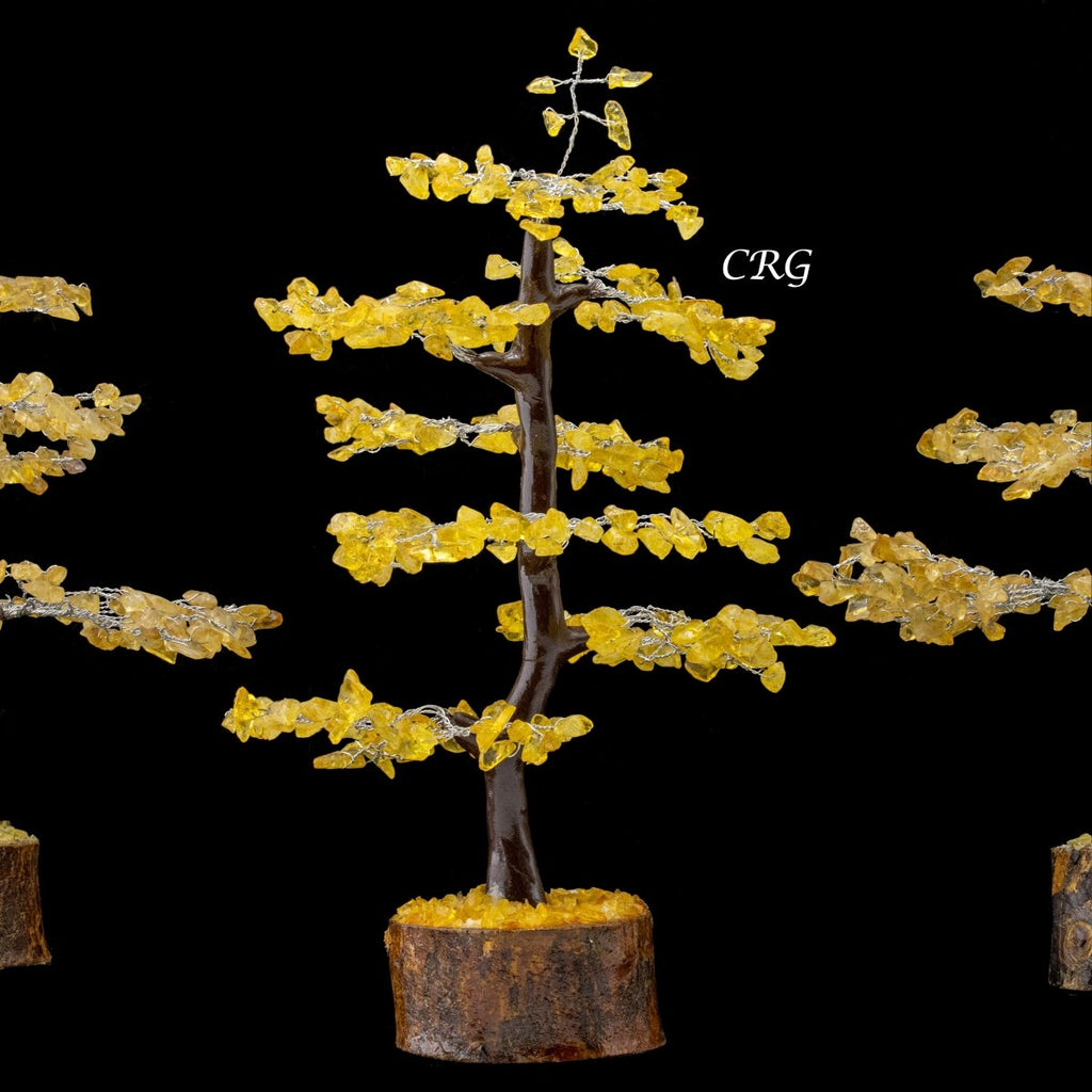 Citrine 300 Chip Tree with Wood Base and Silver Wire (1 Piece) Size 9 Inches Crystal Gemstone Tree