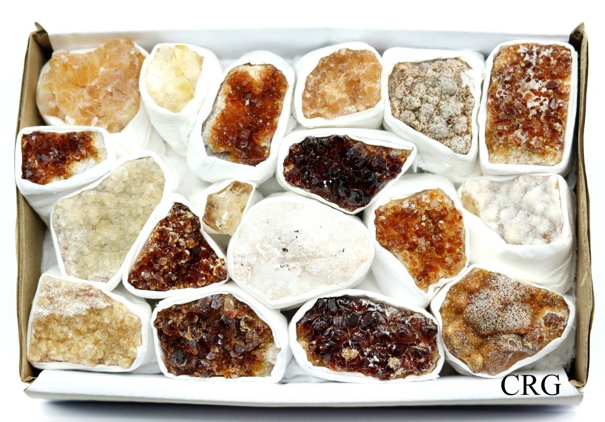 Citrine Druzy Multicolored Small Flat (1 Flat) Size 1 to 2.5 Inches Bulk Wholesale Lot Crystal Minerals