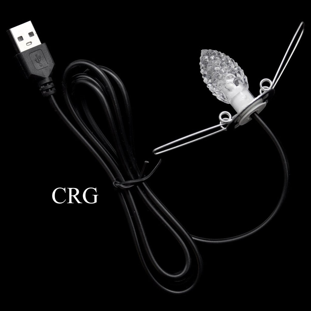 Color Changing Light Bulb and Black USB Cable 1.5 inch (1 piece)