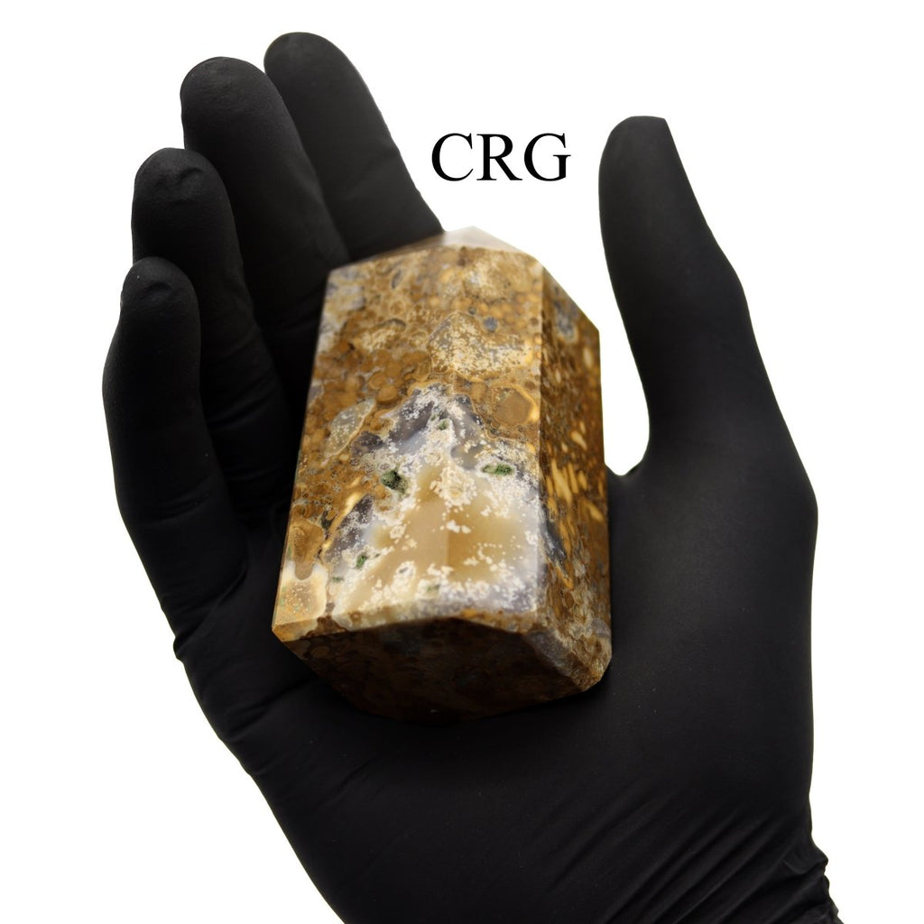 Conglomerate Jasper Point (1 Piece) Size 3 to 5 Inches 6-Sided Standing Crystal Gemstone Home Decor