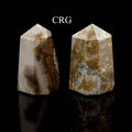 Conglomerate Jasper Point (1 Piece) Size 3 to 5 Inches 6-Sided Standing Crystal Gemstone Home Decor