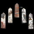 Crazy Lace Agate Towers (1 Pound) Size 3 to 4 Inches Standing Crystal Gemstone Points