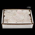 Crystal Quartz Rough Small Flat (12 Pieces) Size 1.25 to 2.5 Inches Bulk Wholesale Lot Crystal Minerals