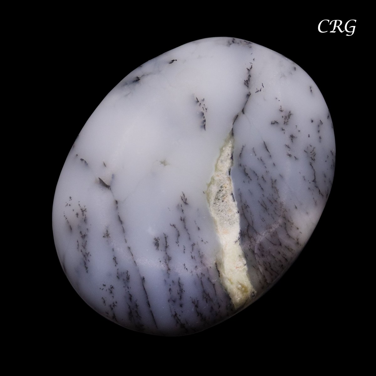 Dendritic Agate Cabochons (75 Grams) Mixed Sizes Bulk Wholesale Lot Crystal Minerals