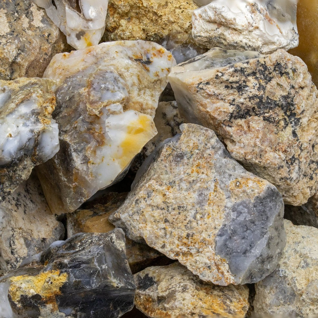Dendritic Agate Rough Pieces (Size 1 To 2 Inches) Wholesale Raw Crystals Minerals Gemstones