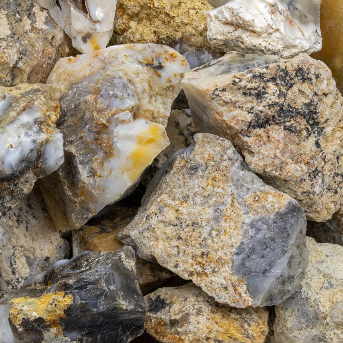 Dendritic Agate Rough (Size 1 To 2 Inches) Wholesale Raw Crystals Minerals Gemstones