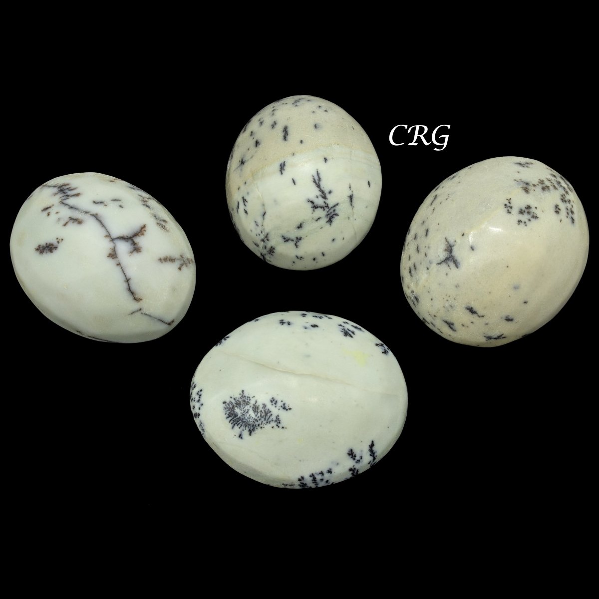 Dendritic Palm Stone (1 Pound) Size 1.5 to 2.5 Inches