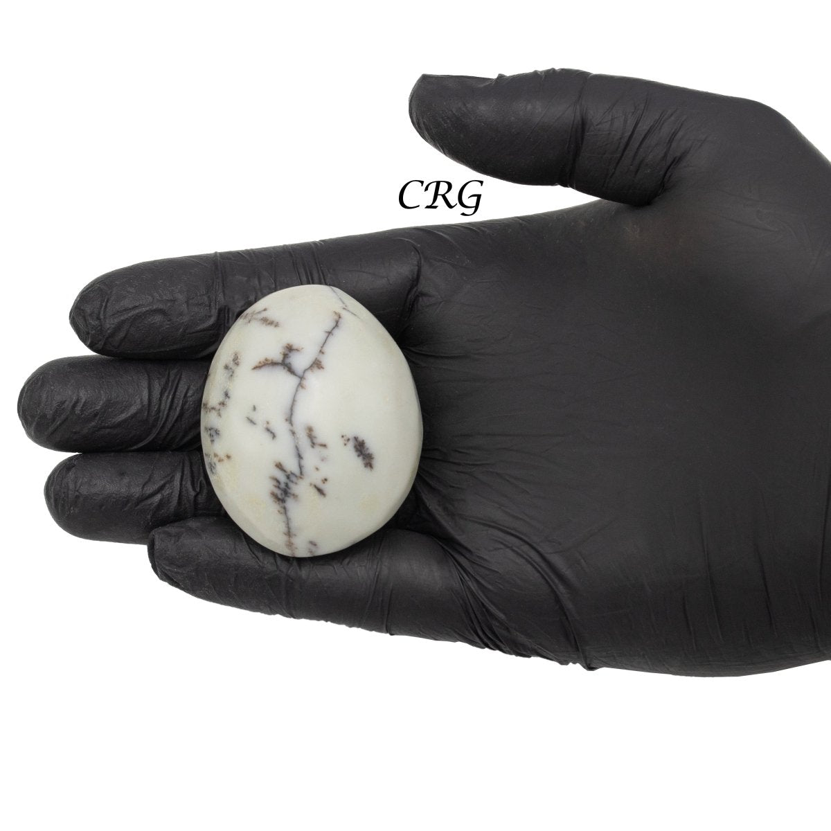 Dendritic Palm Stone (1 Pound) Size 1.5 to 2.5 Inches