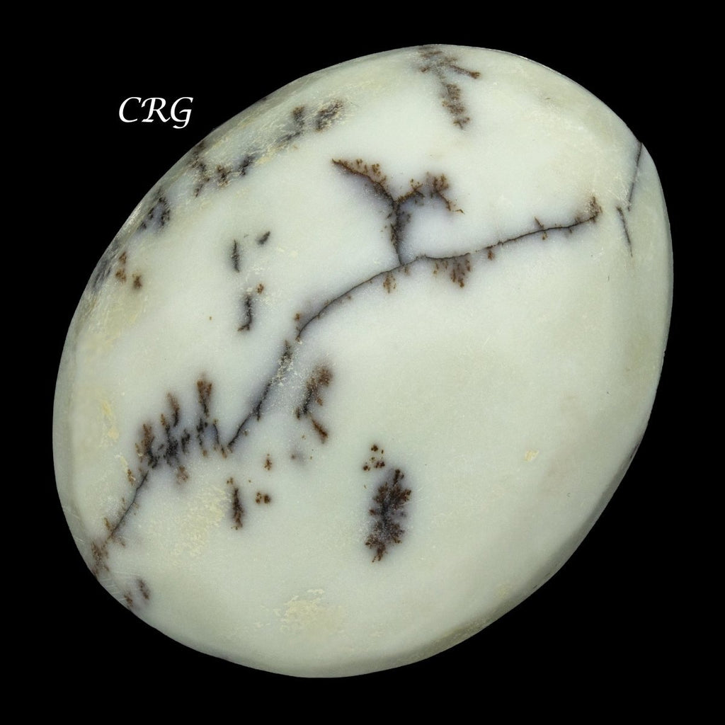 Dendritic Palm Stone (1 Pound) Size 1.5 to 2.5 Inches