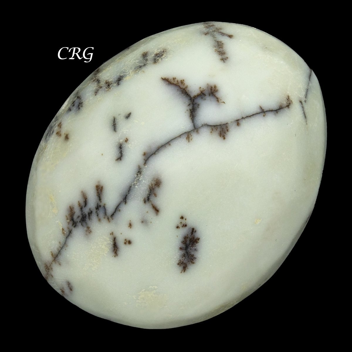 Dendritic Palm Stone (1 Pound) Size 1.5 to 2.5 Inches